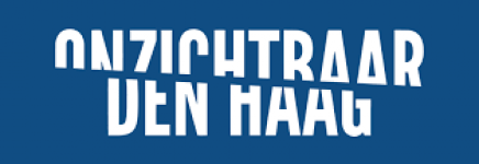 Ervaringsdeskundigen in actie- Onzichtbaar Den Haag