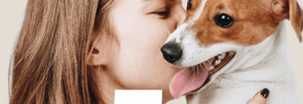 Mendoo - Professionele hulp voor mens en dier in een huiselijk geweld situatie